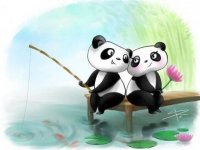 Panda Picture Puzzle