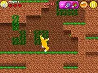 Crazy Bunnies Online Adventure Game